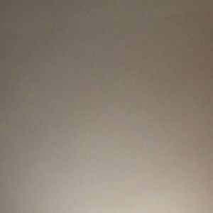 Meet your Posher, Wyatt